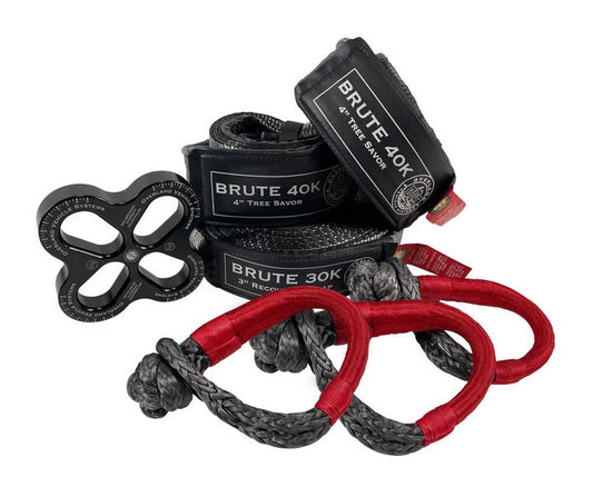 Combo Kit - R.D.L Recovery Distribution Link, 4" X 8' Tree Savers (2), 5/8" Soft Shackles (3), and 30,000 Tow Strap Combo Kit